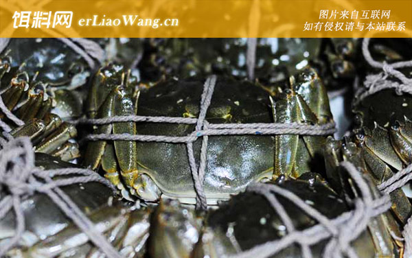 大闸蟹:分布范围