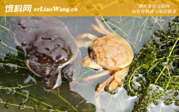 大闸蟹:著名产地