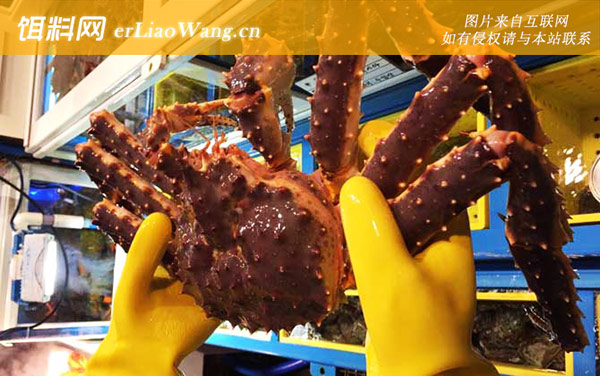 帝王蟹:分布范围