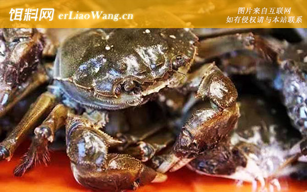 固城湖大闸蟹:产品荣誉