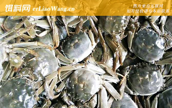 洪泽湖大闸蟹:保护范围