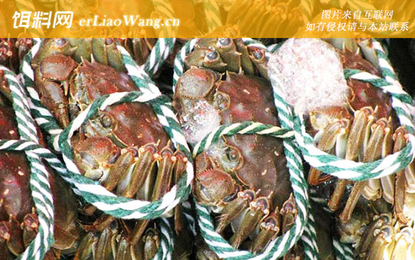 梁子湖大闸蟹:保护范围