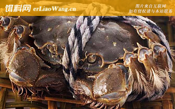 阳澄湖大闸蟹:保护范围