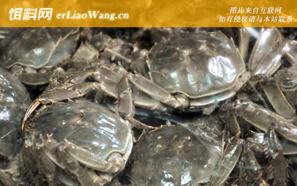 阳澄湖大闸蟹是什么蟹种-所获荣誉