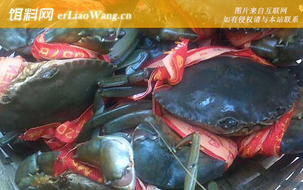 三门青蟹:所获荣誉