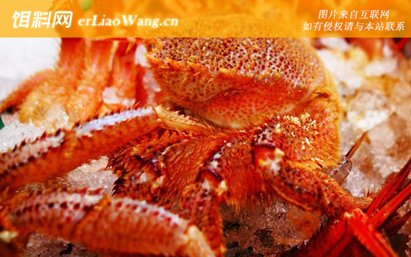 红毛蟹:生活习性