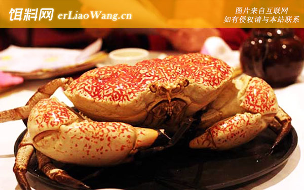 皇帝蟹:分布范围