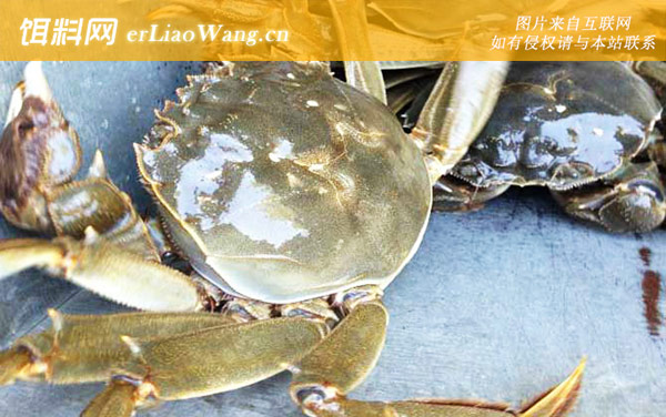 大闸蟹:著名产地