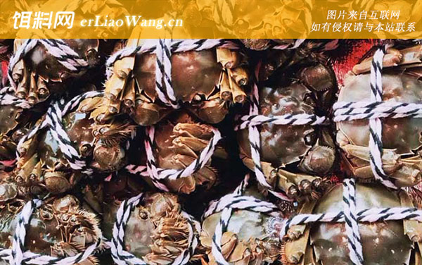 大闸蟹:禁忌人群