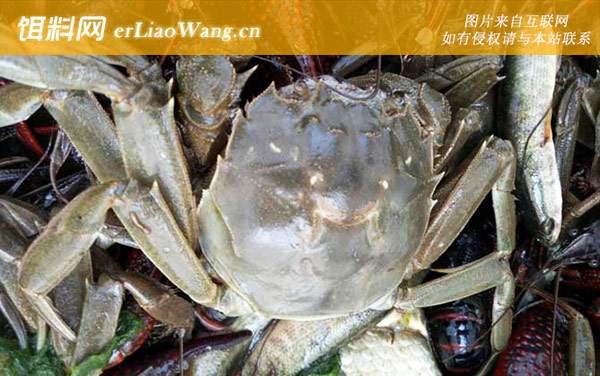 大闸蟹:禁食部位