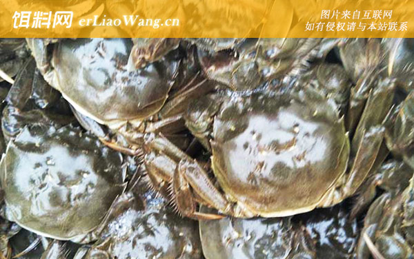 大闸蟹:禁食部位