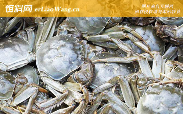 大闸蟹:禁忌人群