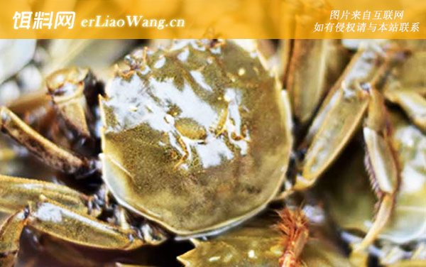 大闸蟹:最佳时间