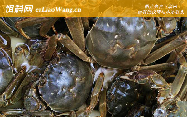 大闸蟹:代表产地