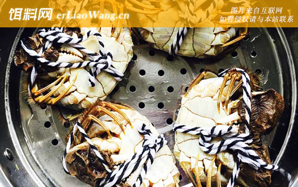 大闸蟹:公母对比