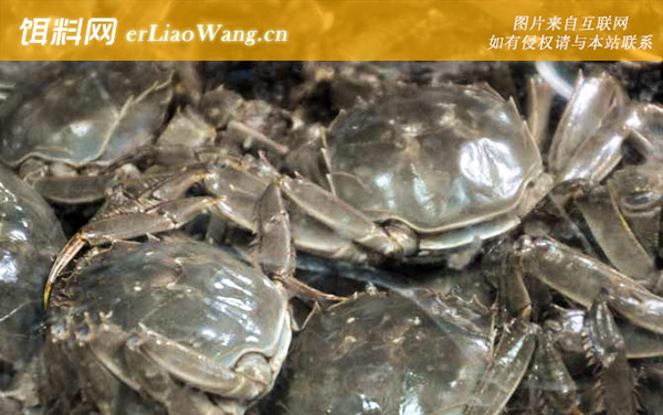 阳澄湖大闸蟹:最佳时间