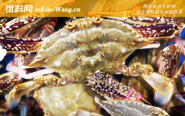 梭子蟹:禁忌人群