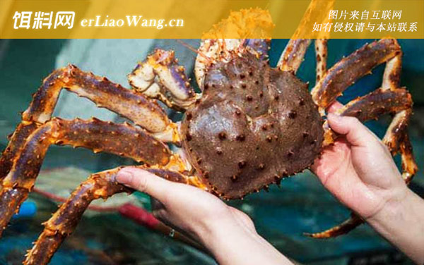 帝王蟹:生活习性