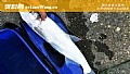 《河里面翘嘴鱼怎么钓上鱼快?》封面图