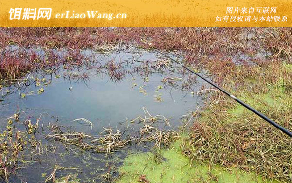 传统钓:钓组搭配