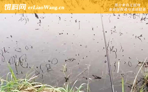 传统钓:注意事项