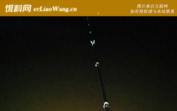 夜钓鲫鱼技巧及注意事项-常见漂相