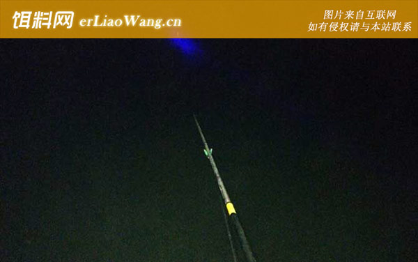夜钓:摄食习性