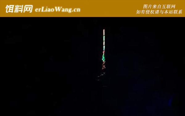 夜钓:钓点选择