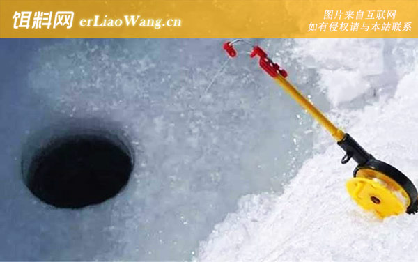 冰钓:饵料选用