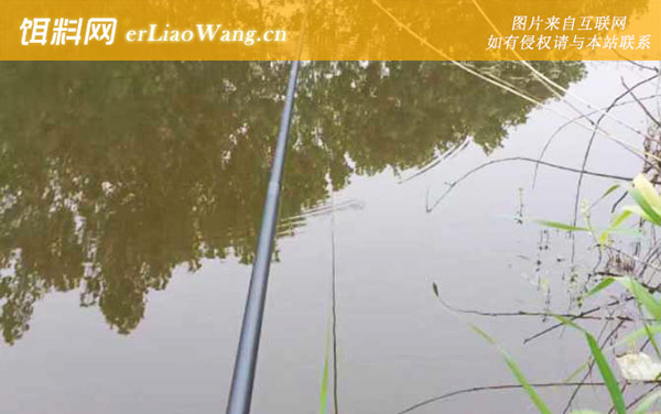 谷麦钓法:钓具搭配