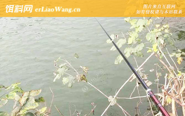 谷麦钓法:作钓技巧