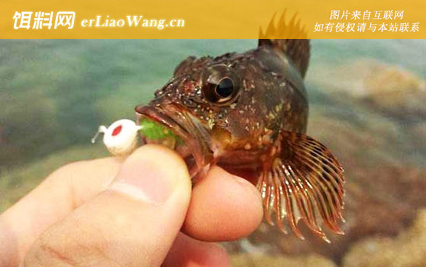 矶钓是什么意思-钓法