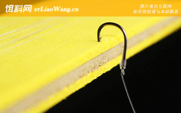 伊势尼:适钓鱼情