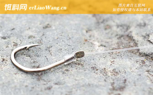 伊势尼:注意事项