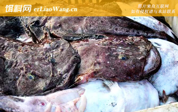 安康鱼:营养价值