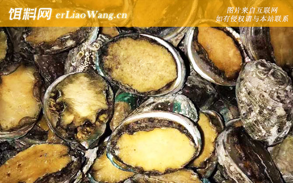鲍鱼:速冻保存
