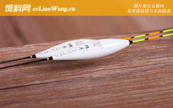 口碑最好十大电子浮漂品牌-化氏