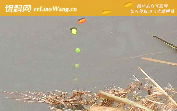 七星漂:漂相大全