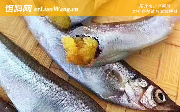 多春鱼:食用价值