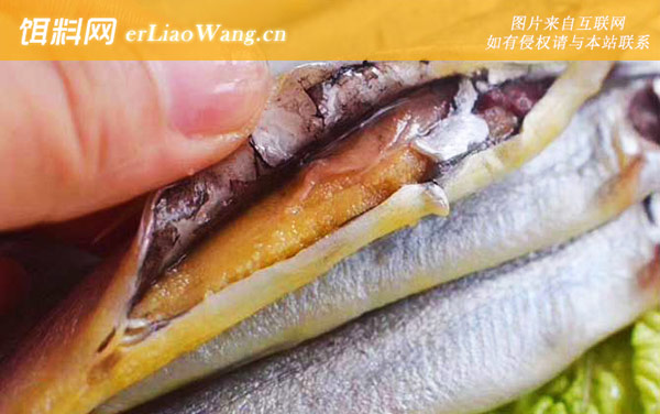 多春鱼为什么全是籽-食用价值