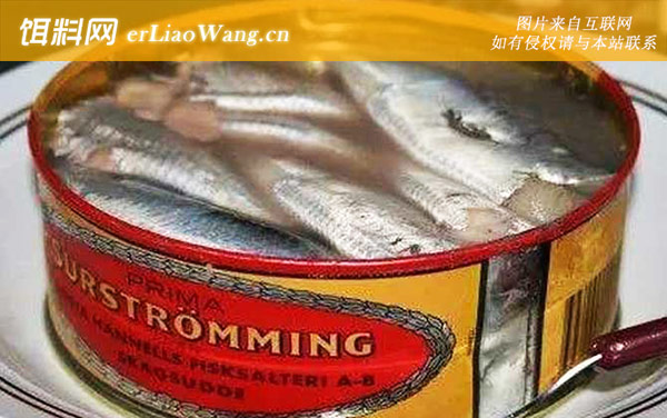 鲱鱼罐头:鲱鱼罐头到底有多臭?