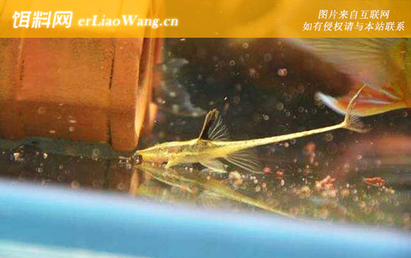 直升机类:直升机类