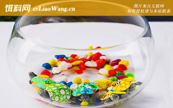 金鱼缸:注意事项