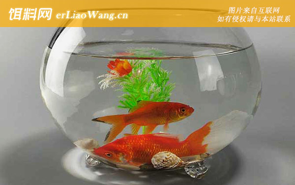 金鱼缸:实例