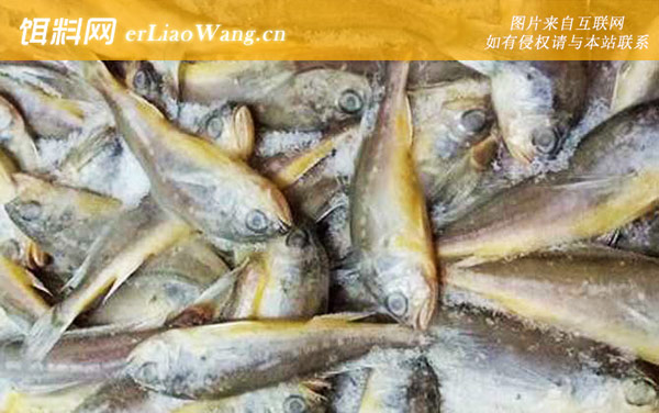 小黄鱼:分布范围