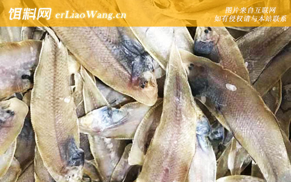 龙利鱼:生活习性