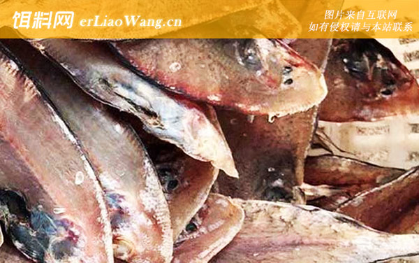 龙利鱼:食用价值
