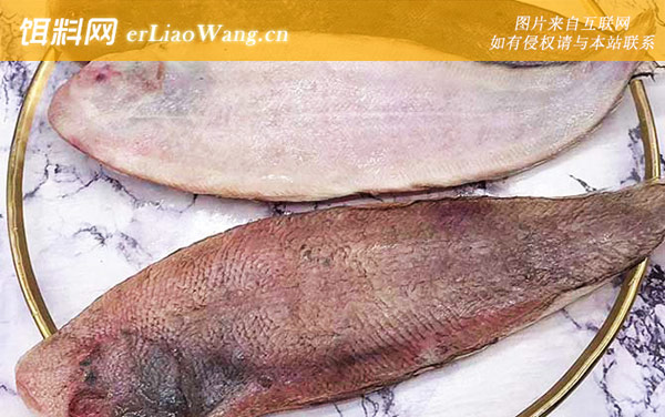 龙利鱼:食用价值