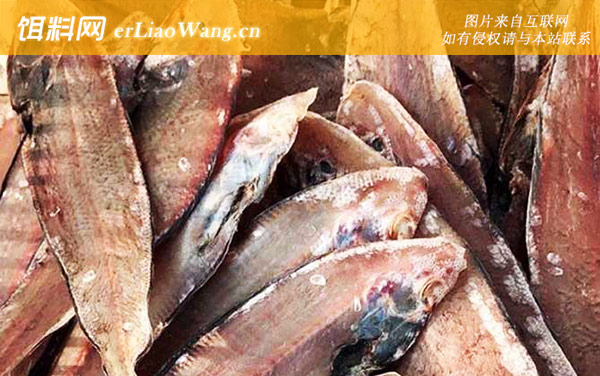 龙利鱼:生活习性