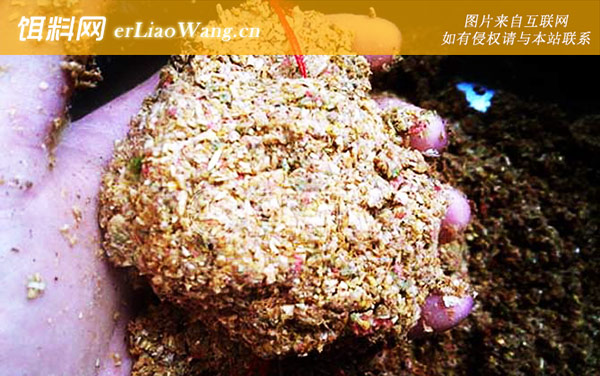 爆炸钩:适钓鱼种